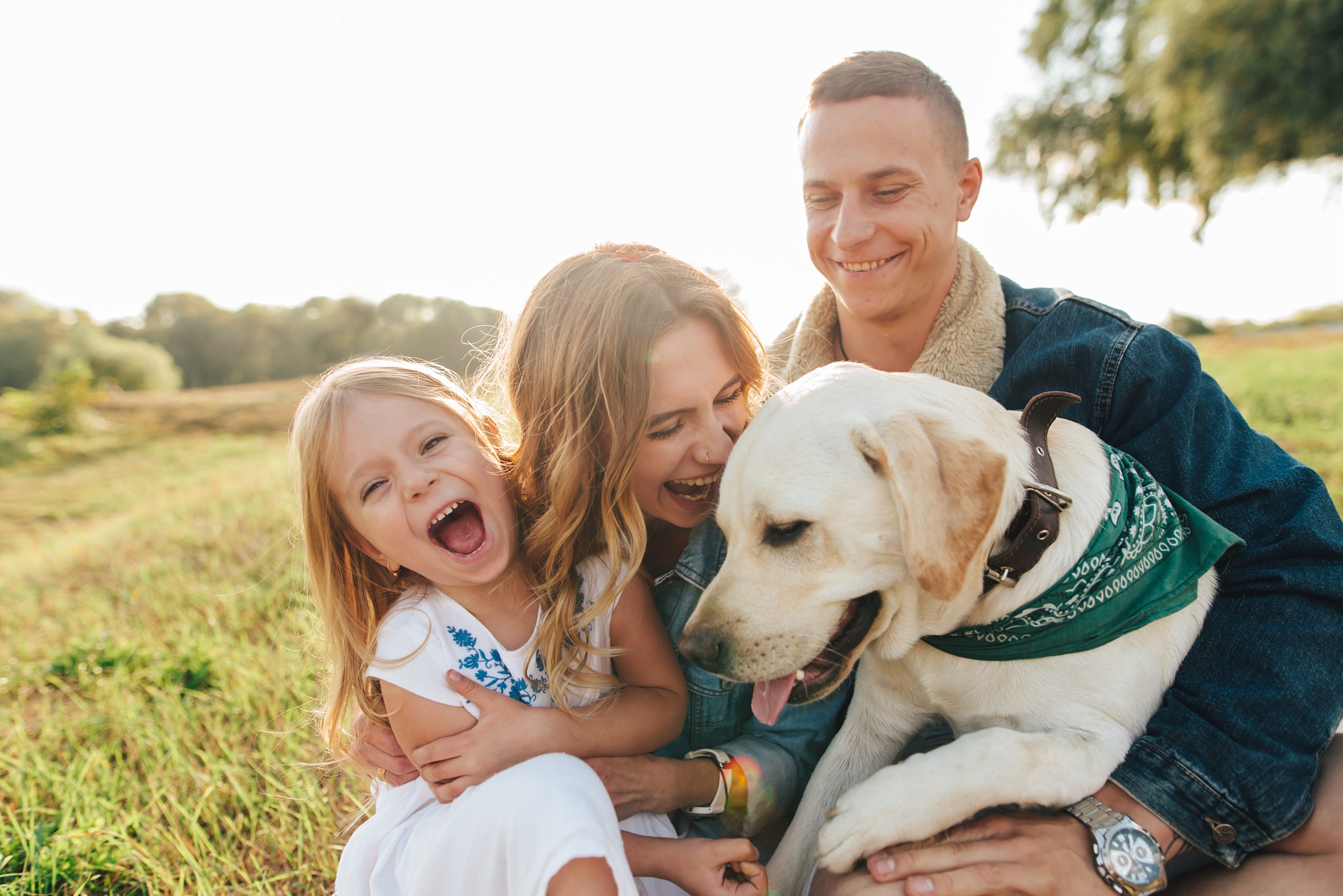 Complete Care for Your Furry Family: Play, Stay, Learn, and Shine!